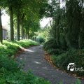IMG_821910