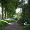 IMG_821911