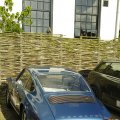 IMG_821926