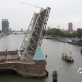 IMG_822244
