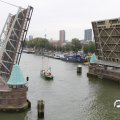 IMG_822245