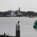 IMG_822387