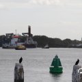 IMG_822391