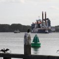 IMG_822408