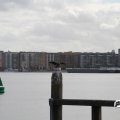 IMG_822417