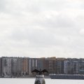 IMG_822418