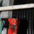 IMG_822442