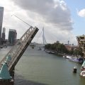 IMG_822482