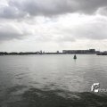 IMG_822699