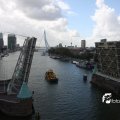 IMG_822750