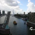 IMG_822751