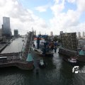 IMG_822785