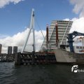 IMG_822817
