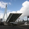 IMG_822851