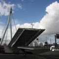 IMG_822854