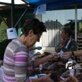 IMG_827447