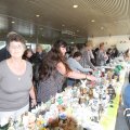 IMG_822917