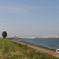 IMG_823295