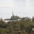 IMG_823313