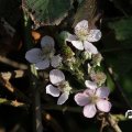 IMG_823329