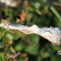 IMG_823360