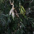 IMG_823364