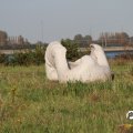 IMG_823392