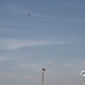 IMG_823413