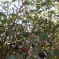 IMG_823905