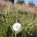 IMG_823953