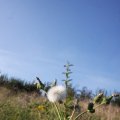 IMG_823959