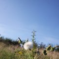 IMG_823960