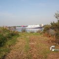IMG_823968