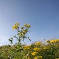 IMG_823976