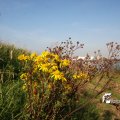 IMG_823981