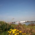 IMG_823982