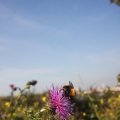 IMG_824014
