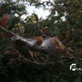 IMG_824019