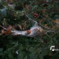 IMG_824022
