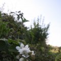 IMG_824025