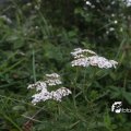 IMG_824028