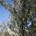 IMG_824051