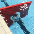 IMG_823131