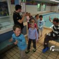 IMG_823455