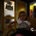 IMG_823878
