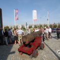 IMG_824141
