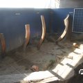 IMG_824153