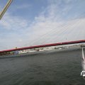 IMG_824298
