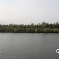 IMG_824761