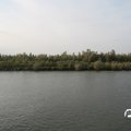 IMG_824762